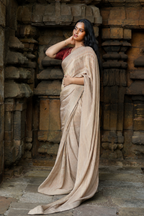 PRATIBIMB CRUSHED TISSUE CHANDERI SAREE