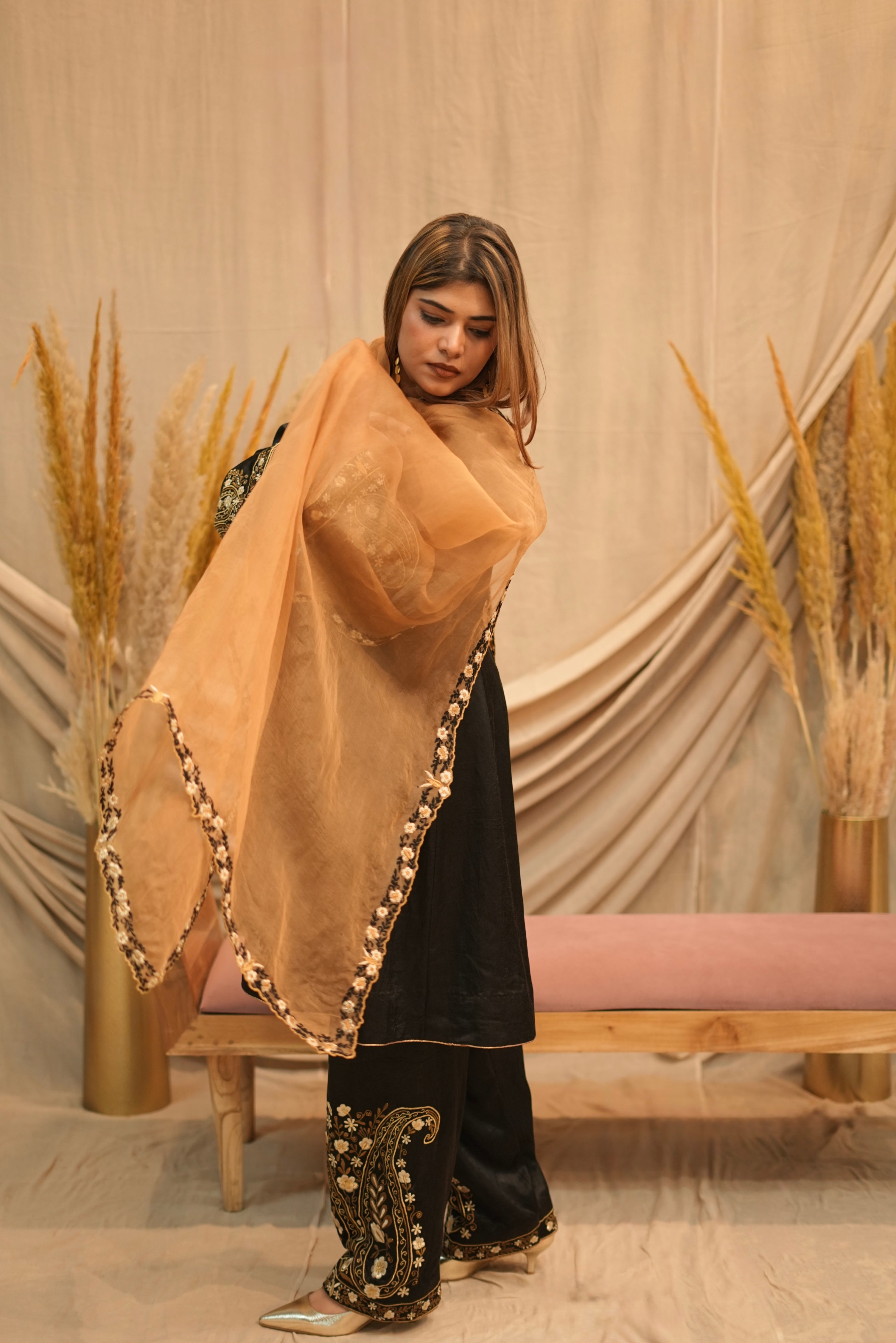 Mehar-e-Shaam Mashru Silk with Organza Dupatta