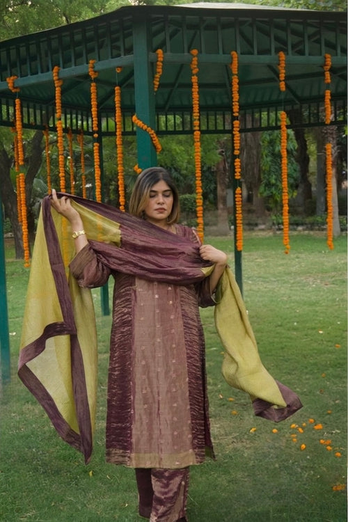 ANTARA Hand-Embroidered Pure Tissue Kurta, Pants and Dupatta Set - Kurta Set - Chanderi - Back View - Chidiyaa